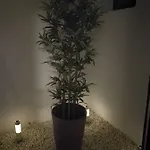 Casita La Concha *